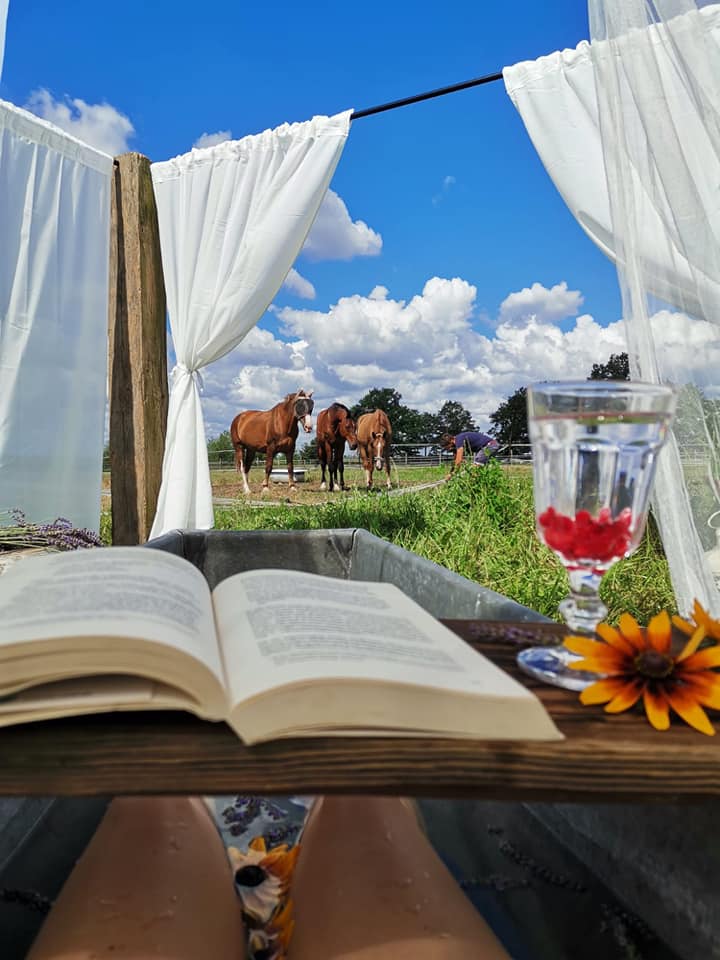 3 Wegański Piknik w Stajni Karczów